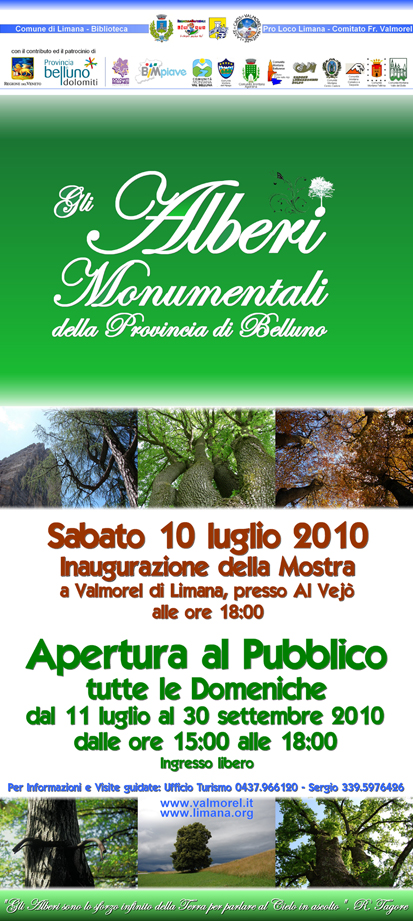 ALBERI_MONUMENTALI.jpg
